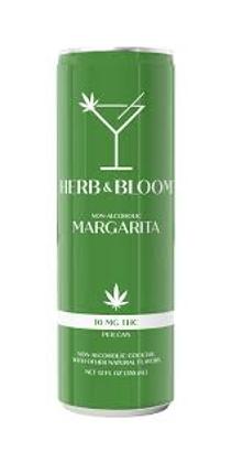 Herb & Bloom Margarita 4pk
